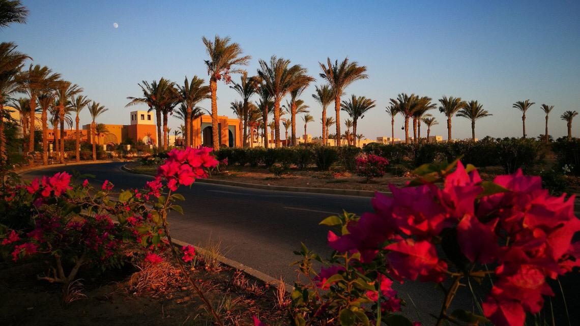 Egyiptom, Hurghada, Marsa alam, port galib hotel előtti utcakép. pálmafákkal, virágokkal.