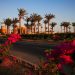 Egyiptom, Hurghada, Marsa alam, port galib hotel előtti utcakép. pálmafákkal, virágokkal.